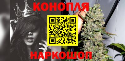 гашик Ирбит
