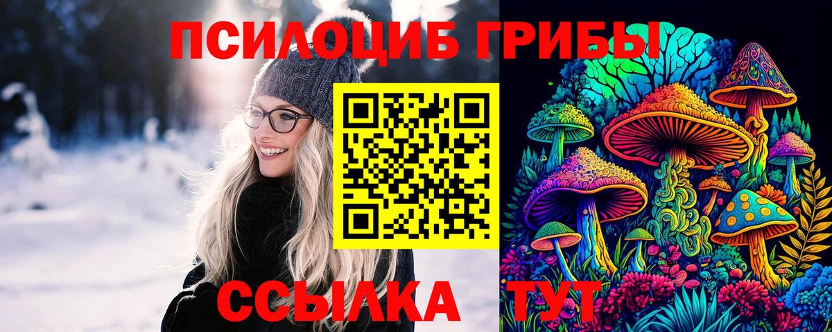 Псилоцибиновые грибы Cubensis  Вход с VPN  Псилоцибиновые грибы Psilocybe  Лангепас 